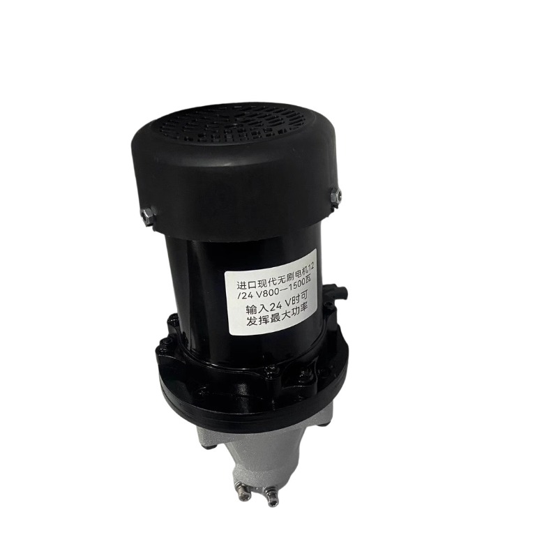 12-60V 500-1500W Brushless Out - Fishing Boat Paddle 评论和价格