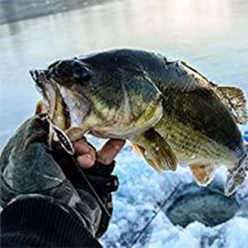 ABUE-Kayak Portable Fish Depth - Fishing Boat Depth Finder 评论和价格