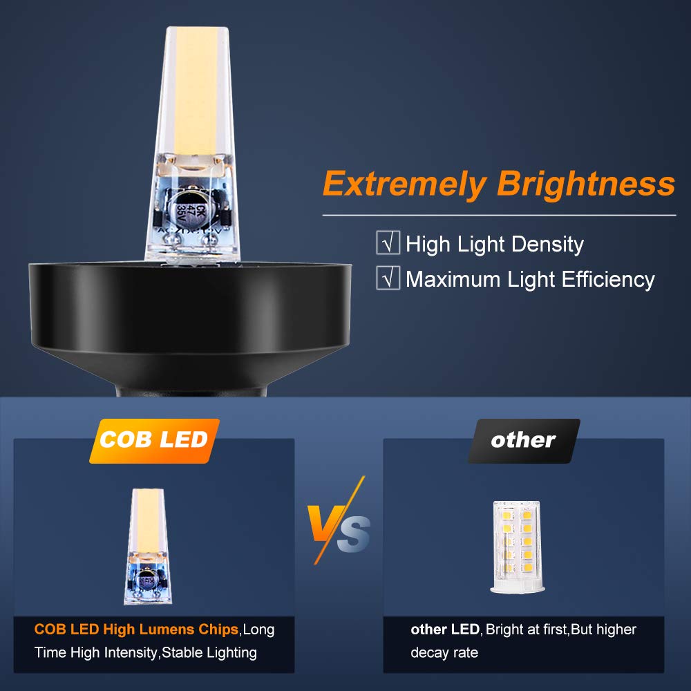 360 Degree White LED Fold Down - Fishing Boat Anchor 评论和价格